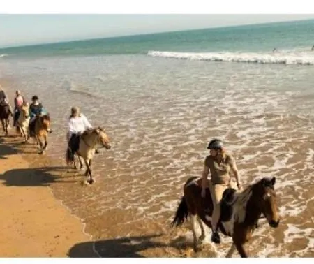 4 Etoiles Le Bois Dormant Saint-Jean-de-Monts