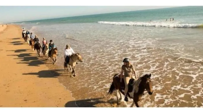 4 étoiles Le Bois Dormant Saint-Jean-de-Monts
