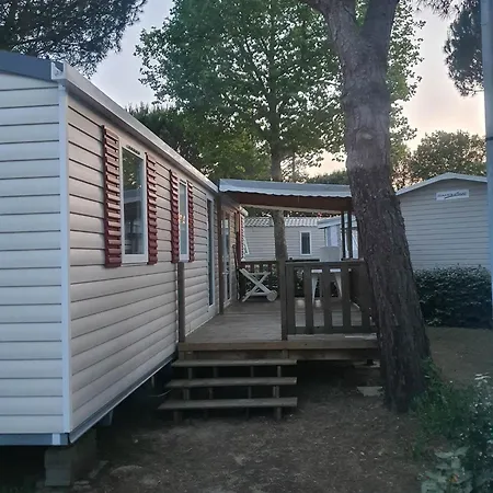 Campeggio 4 étoiles Le Bois Dormant